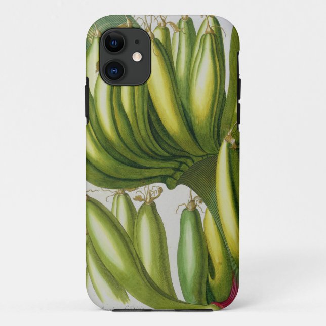 Banana, engraved by Johann Jakob Haid (1704-67) pl Case-Mate iPhone Case (Back)