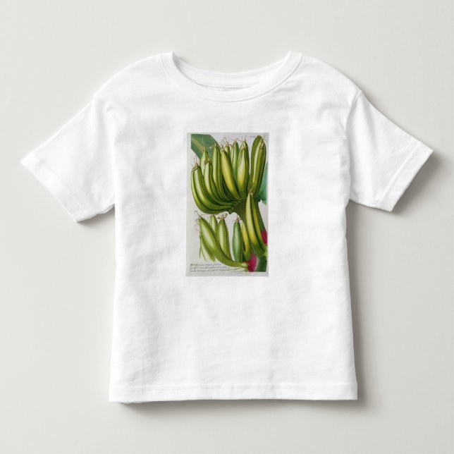 Banana, engraved by Johann Jakob Haid (1704-67) pl Toddler T-shirt (Front)