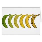 Banana Evolution (Front Horizontal)