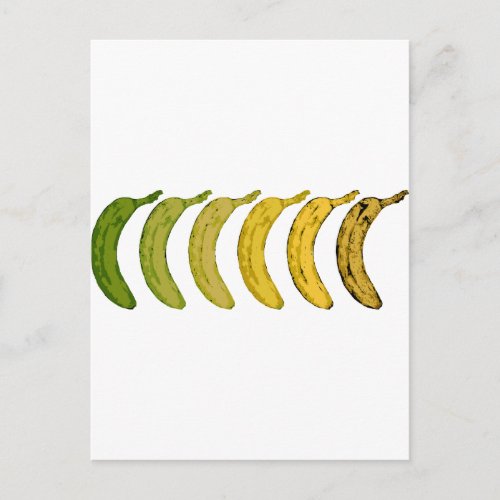 Banana Evolution Postcard