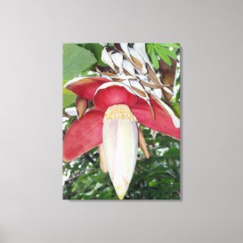 Banana Flower Canvas Print by efhenneke at Zazzle