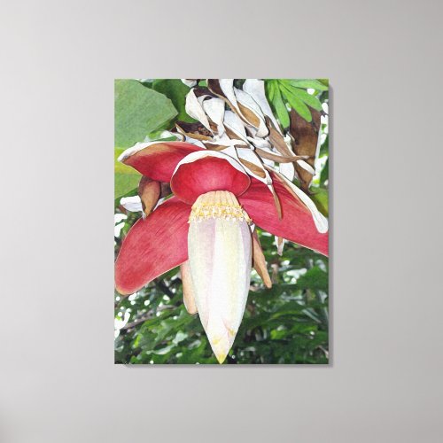 Banana Flower Canvas Print