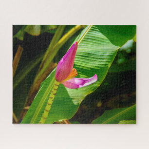 Banana Flower, Limahuli Gardens, Kauai, Hawaii Jigsaw Puzzle