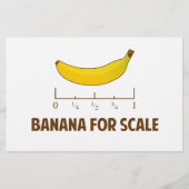 Banana For Scale (Front)