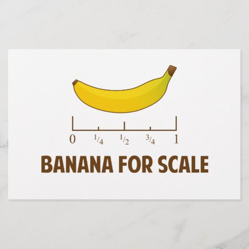 Banana For Scale