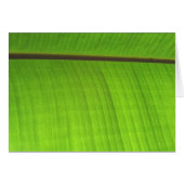 Banana Leaf Close-Up (Front Horizontal)