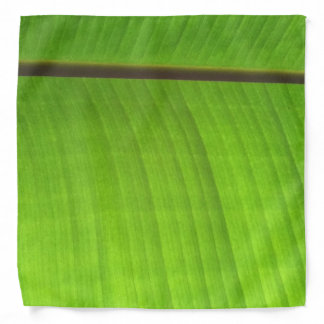 Banana Leaf Close-Up Bandana
