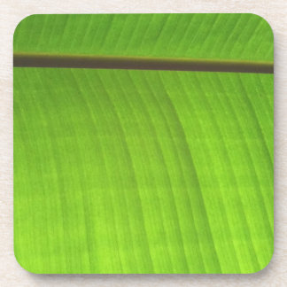 Banana Leaf Close-Up Beverage Coaster