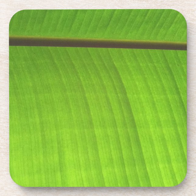 Banana Leaf Close-Up Beverage Coaster (Front)