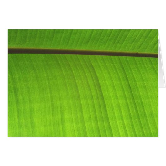 Banana Leaf Close-Up Cards (Front Horizontal)