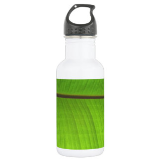 Banana Leaf Close-Up Stainless Steel Water Bottle