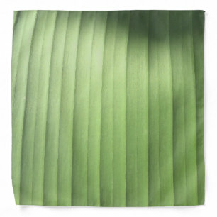 Banana Leaf Closeup Bandana
