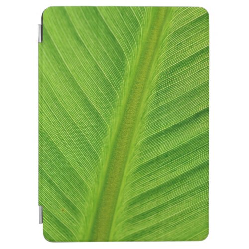 Banana leaf leaf banana fibers iPad air cover