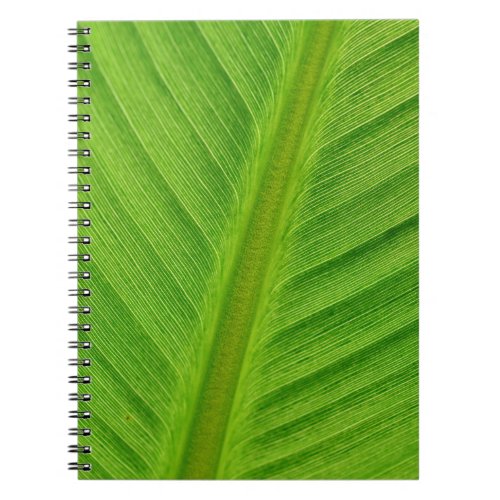 Banana leaf leaf banana fibers notebook