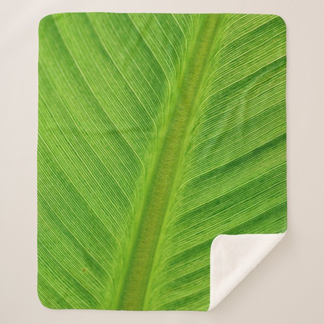 Banana leaf leaf banana fibers sherpa blanket (Front)