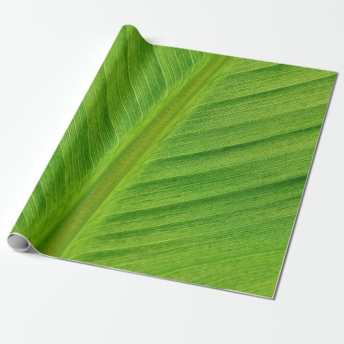 Banana leaf leaf banana fibers wrapping paper