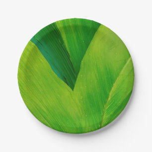 banana leaf print paper plates