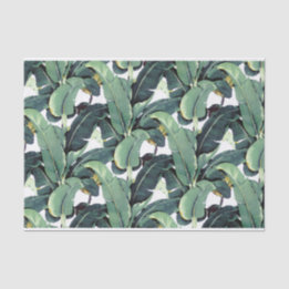 Banana Leaves Palm Tropical 10lb Tissue Paper
