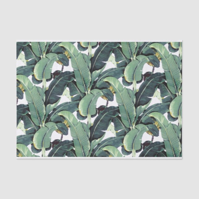 Banana Leaves Palm Tropical 10lb Tissue Paper (Front)