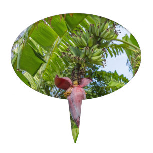 Banana plantation in Sok Kwu Wan Lamma Island Cake Topper