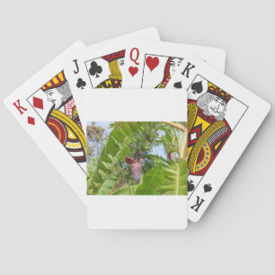 Banana plantation in Sok Kwu Wan Lamma Island Poker Cards