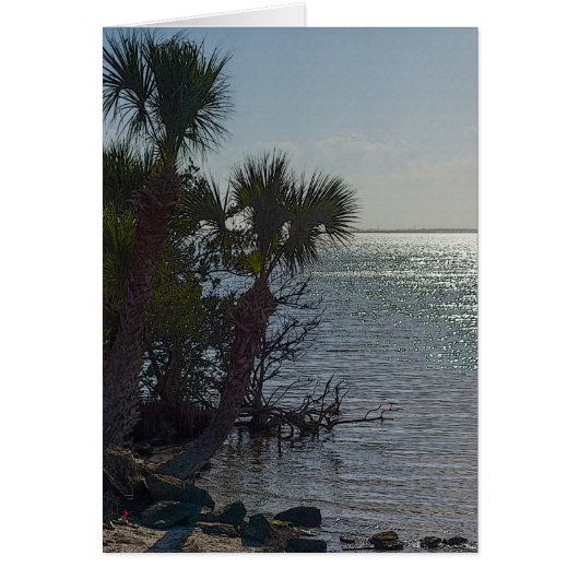 Banana River Palm Trees Painterly Cards (Front)