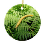 Banana Slug on Ferns I  Ceramic Ornament