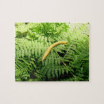 Banana Slug on Ferns I  Jigsaw Puzzle