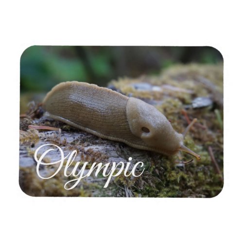 Banana Slug on Mossy Log Olympic National Park Magnet