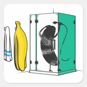 Banana  square sticker