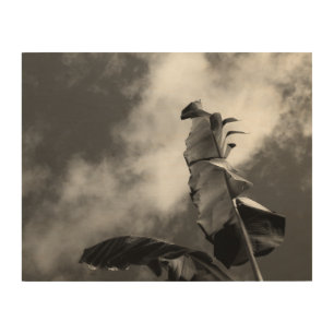 Banana Tree Black and White Wood Wall Art