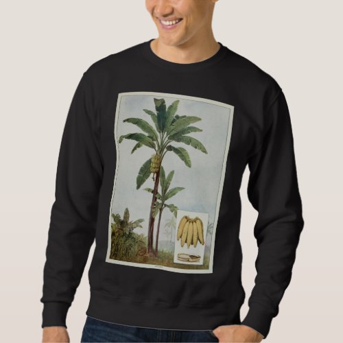 Banana Tree Illustration Sweatshirt