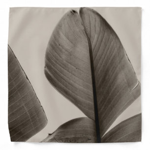 Banana Tree Leaves in Sepia Bandana