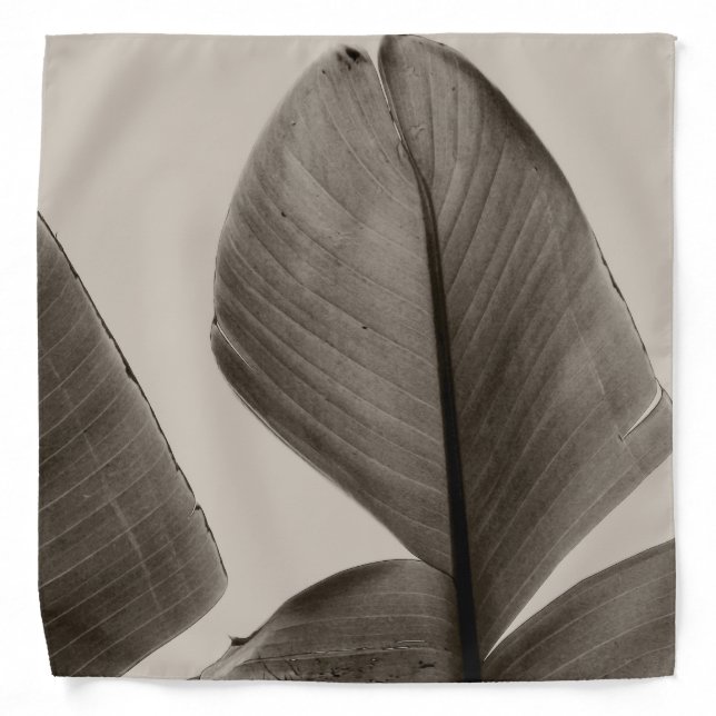 Banana Tree Leaves in Sepia Bandana (Front)