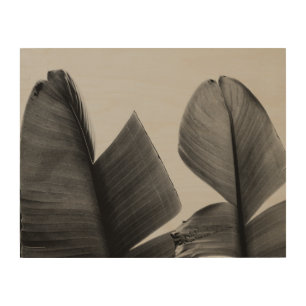 Banana Tree Leaves in Sepia Wood Wall Art