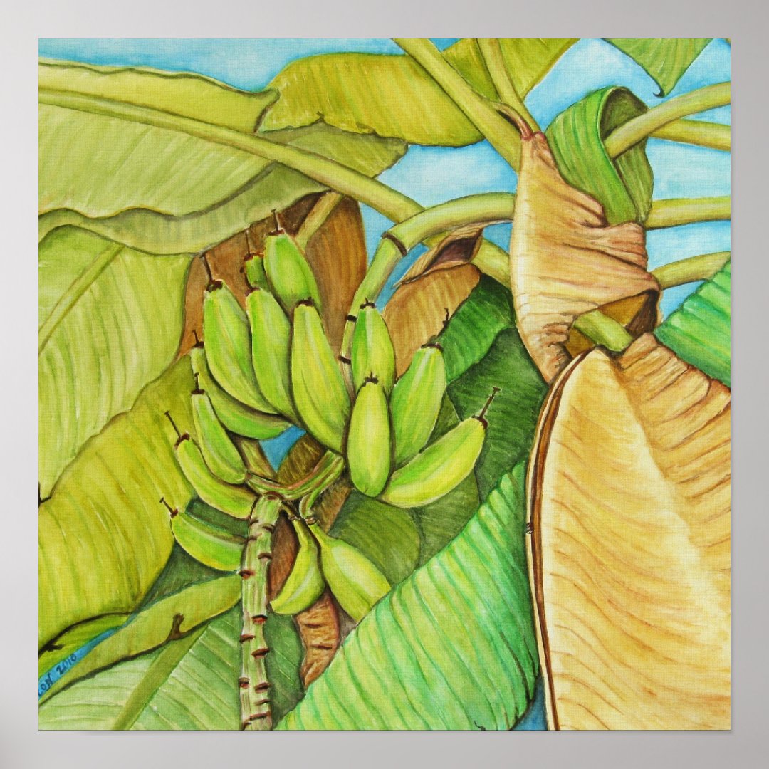banana tree reproduction from painting poster Zazzle