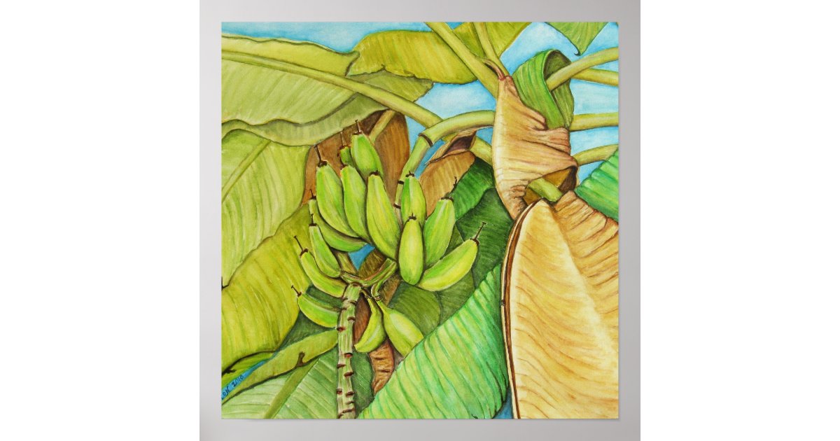 Banana Tree Reproduction From Painting Poster Zazzle Com
