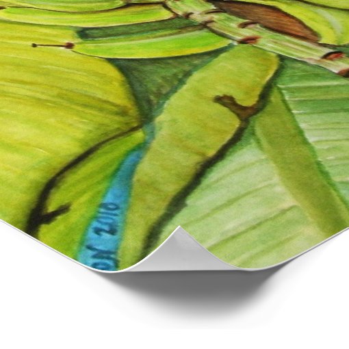 banana tree reproduction from painting poster Zazzle