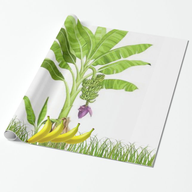 Banana Tree Wrapping Paper (Unrolled)