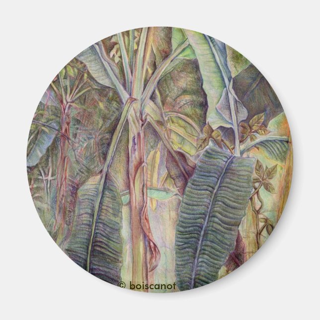 Banana Trees Magnet (Front)