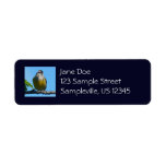 Bananaquit Bird and Blue Sky Photography Label