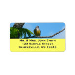 Bananaquit Bird and Blue Sky Photography Label