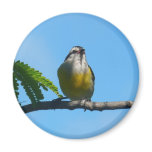 Bananaquit Bird and Blue Sky Photography Magnet