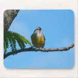 Bananaquit Bird and Blue Sky Photography Mouse Pad