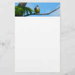 Bananaquit Bird and Blue Sky Photography Stationery