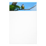 Bananaquit Bird and Blue Sky Photography Stationery