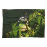 Bananaquit Bird Eating Kitchen Towel