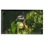 Bananaquit Bird Eating Place Card Holder