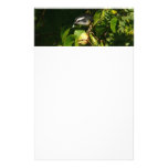 Bananaquit Bird Eating Tropical Nature Photography Stationery