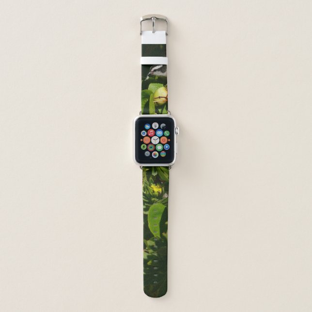 Bananaquit Bird Eating Tropical Photography Apple Watch Band (Front)